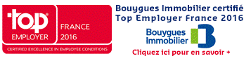 Bouygues 1